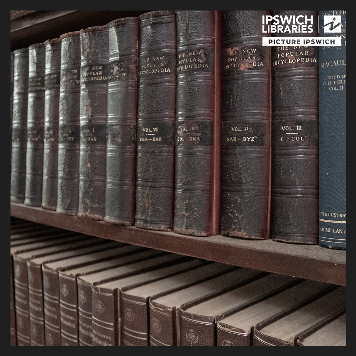 Viva Cribb Bursary Collection