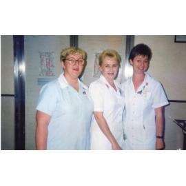 Jenny Elliot, Jan Murphy, Lyn Dunne, 1990s
