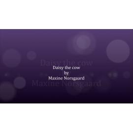 Daisy the Cow - Maxine Norsgaard