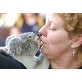 Ruth Lewis with Virginia the koala, Ipswich, June 2003