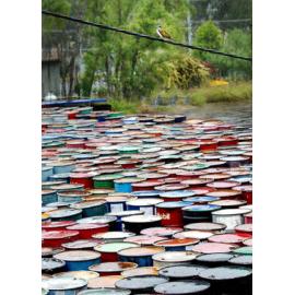 Oil dumping barrels in nature, Wulkaraka, June 2003