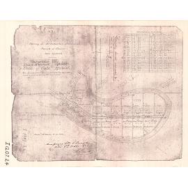  Survey of 20 suburban allotments Parish of Chuwar near Ipswich map