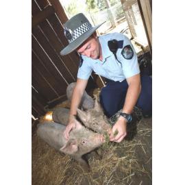 Unidentified police officer feeding pigs at the Queens Park Nature Centre, Ipswich, March 2003