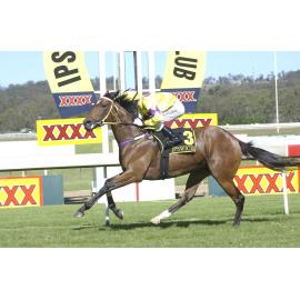 Horse racing, Ipswich, November 2003