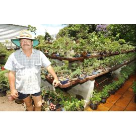 Robin Godfrey in a garden with Bonsai trees, Ipswich, November 2003