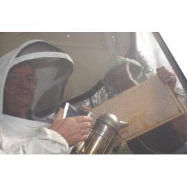 Two unidentified beekeepers, Ipswich, May 2003