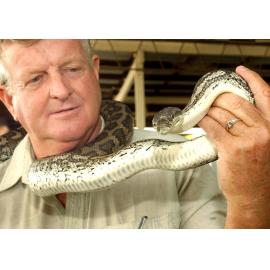Steve Robinson with a 2m Carpet Python at the Ipswich Show, Ipswich, May 2003