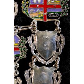 Shield for 27th Mayor of Ipswich Isaac Ham, close-up of the Ipswich Mayoral Chains of Office, in use since 2010 