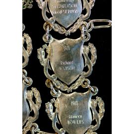 Shield for 32nd Mayor of Ipswich Richard Watson, close-up of the Ipswich Mayoral Chains of Office, in use since 2010 