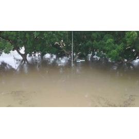 Drone images of the Bremer River in flood, Riverheart Parklands, King Edward Parade, Ipswich, March 2025
