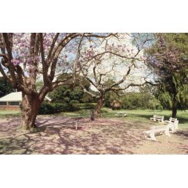 Bush Chapel, Queens Park, Ipswich, 1988