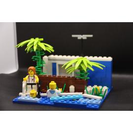Brickswich version of People swimming in a swimming pool in the backyard of a home, Ipswich, 1969