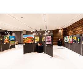 Opening night of the Ipswich Art Awards, 2022