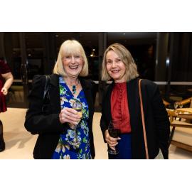 Opening night of the Ipswich Art Awards, 2022