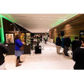 Opening night of the Ipswich Art Awards, 2022