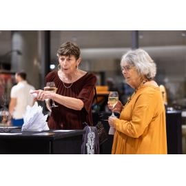 Opening Night of the Ipswich Art Awards, 2022