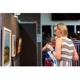 Opening of the Ipswich Art Awards, 2019