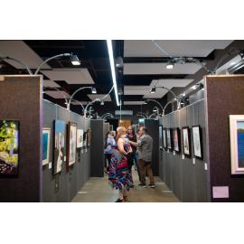 Opening of the Ipswich Art Awards, 2019