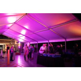 Opening of the Ipswich Art Awards, 2019