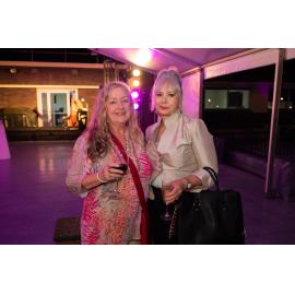 Opening of the Ipswich Art Awards, 2019