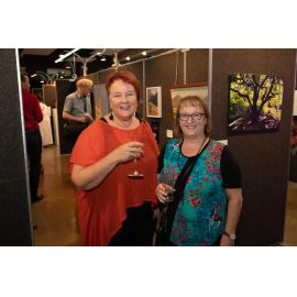 Opening of the Ipswich Art Awards, 2019