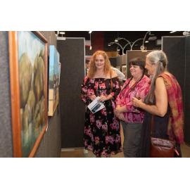 Opening of the Ipswich Art Awards, 2019
