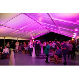 Opening of the Ipswich Art Awards, 2019