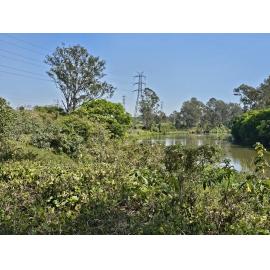 Bremer Mills Bundamba Site Visit 18 September 2025