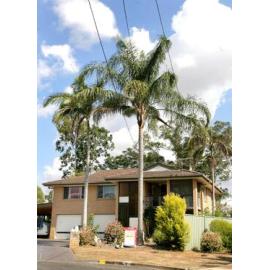 Mittani Court, no. 5, Raceview, Ipswich, April 2007