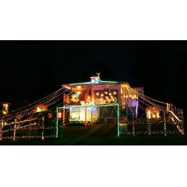 Wills Street, no. 8, Leichhardt, Ipswich, December 2008