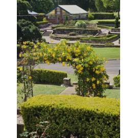Queens Park Curator's Cottage Ipswich 2025