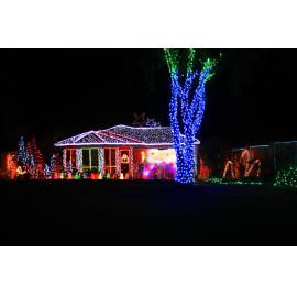 QT Christmas Lights Competition, Best Residential Winner, Arborwood Avenue, no. 4, Springfield, Ipswich, December 2009 