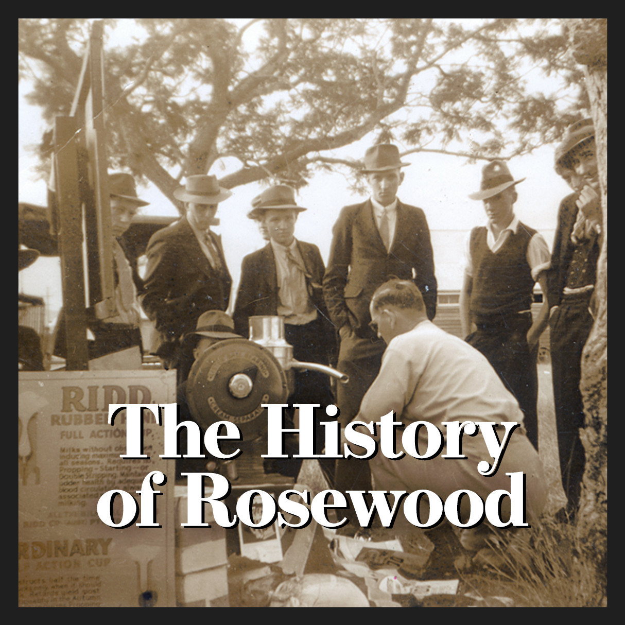 The History of Rosewood