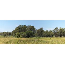 Babies of Walloon Drowning Site, 470-488 Haigslea-Amberley Road, Walloon, 2024