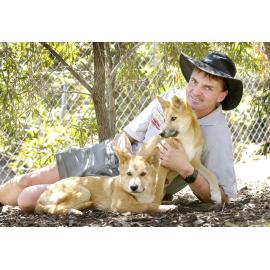 Acting manager of Queenks Park Nature reserve, Martin Page, with the new dingo pups, Ipswich, September 2004