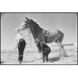 Unidentified woman in ringmaster costume with a Clydesdale horse and a miniature pony in a field, Ipswich, Queensland, 2nd August 1994
