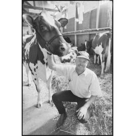 Unidentified man with a cow in the cow pavilion at the Ekka, Brisbane Showgrounds, Brisbane, 20th August 1994