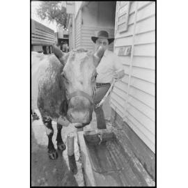 Unidentified man with a cow drinking from a water trough at the Ekka, Brisbane Showgrounds, Brisbane, 20th August 1994