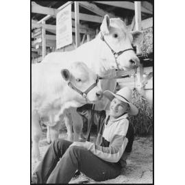 Unidentified young man with two cows at the Ekka, Brisbane Showgrounds, Brisbane, 20th August 1994