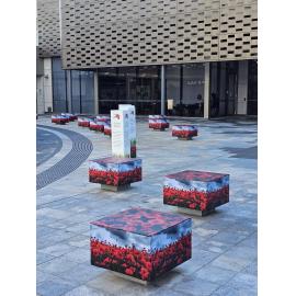 Tulmur Place Anzac Day Tribute, 2026