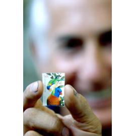 Stamp collector George Bould with one of the new Australia Post parrot stamps, Ipswich, 17th February 2005