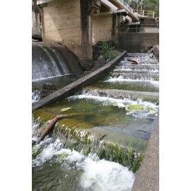 Weir Spillway and Fish Ladder, Mt Crosby Road, Mount Crosby, Brisbane, 2004