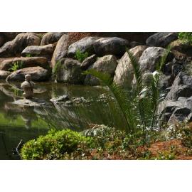 Nerima Gardens, Queens Park, Ipswich, September 2004