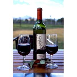 Bottle of Ironbark Ridge Shiraz, 1999 Vintage, Purga, Ipswich, 2005