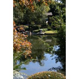 Nerima Gardens, Queens Park, Ipswich, July 2009