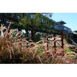 Bradfield Bridge, from Riverheart Parklands, Ipswich, October 2012