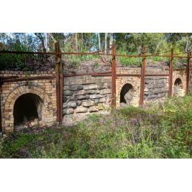 Haighmore Colliery Coke Ovens, Tivoli, Ipswich, May 2014