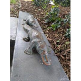 Platypus, by Kim Ah Sam and Kyra Mancktelow, Tulmur Place, Ipswich, installed 2020