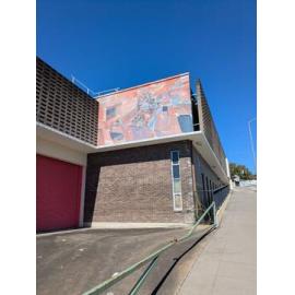 Coexistence, by Jordache, Firestation 101, Waghorn Street, Ipswich, installed 2020