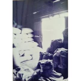 Risson's Produce
